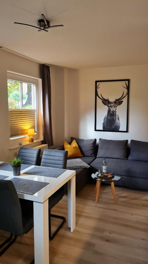 Ferienwohnung Braunlage - Gemuetliche Auszeit Eksteriør bilde